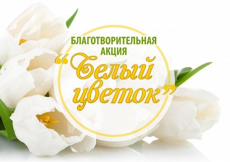 День благотворительности белый цветок. День благотворительности белый цветок