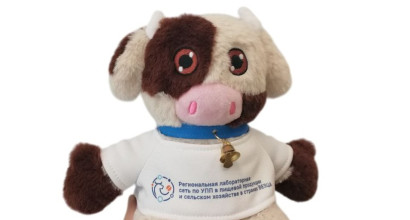 Игрушка-символ международного проекта по безопасности