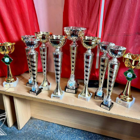 Успехи учебно-профессионального коллектива  ансамбля танца «Ровесник»